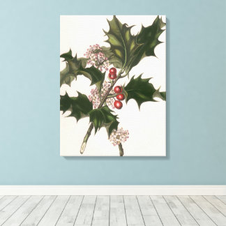 Vintage Christmas, Holly Plant with Red Berries Canvas Print