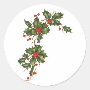 Vintage Christmas, Holly Plant with Red Berries Classic Round Sticker