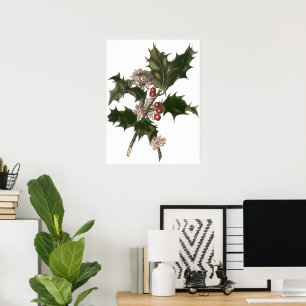 Vintage Christmas, Holly Plant with Red Berries Poster