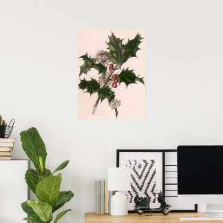 Vintage Christmas, Holly Plant with Red Berries Poster