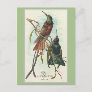 Vintage Christmas King Humming Birds Holiday Postcard