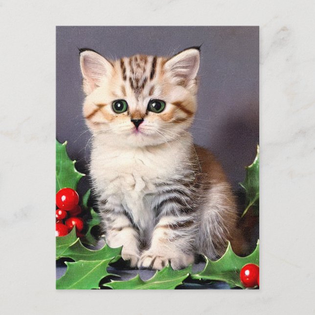 Vintage Christmas Kitten and Holly Enclosure Card (Front)