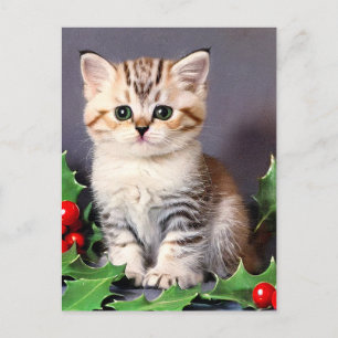 Vintage Christmas Kitten and Holly Holiday Postcard