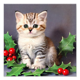 Vintage Christmas Kitten and Holly Photo Print