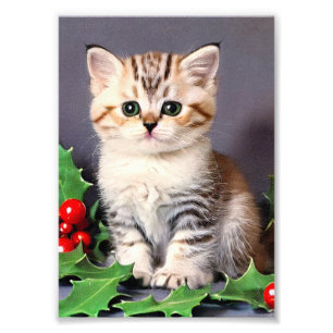 Vintage Christmas Kitten and Holly Photo Print