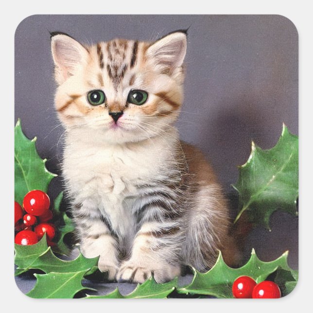 Vintage Christmas Kitten and Holly Square Sticker (Front)