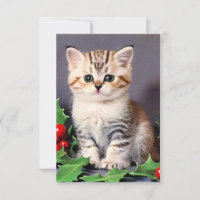 Vintage Christmas Kitten and Holly