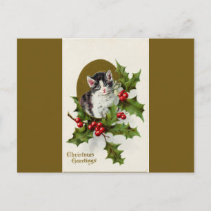 Vintage Christmas Kitten Gold Postcard