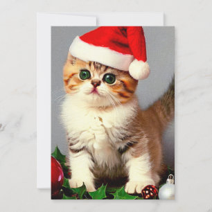 Vintage Christmas Kitten in Santa Hat Holiday Card