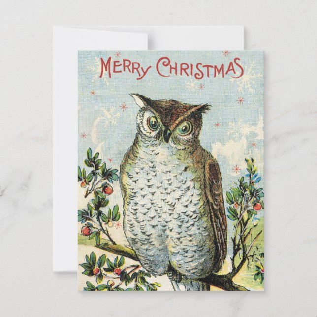 Vintage Christmas Owl Holiday Card (Front)