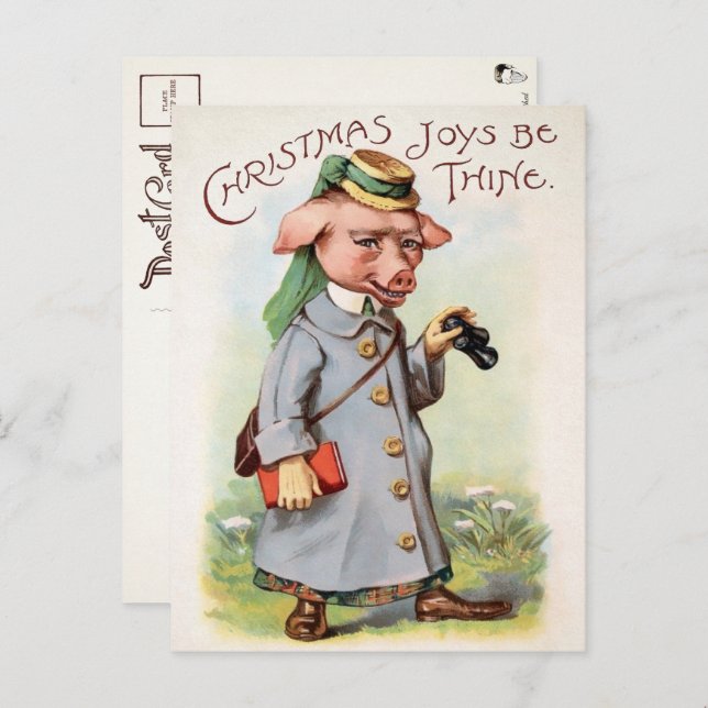 Vintage Christmas Pig Postcard (Front/Back)