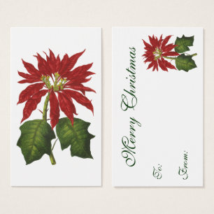 Vintage Christmas, Red Poinsettia Winter Plant