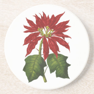 Vintage Christmas, Red Poinsettia Winter Plant Coaster