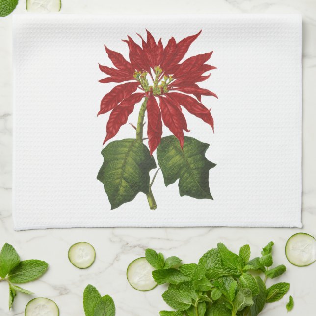 Vintage Christmas, Red Poinsettia Winter Plant Tea Towel (Folded)