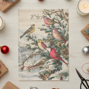 Vintage Christmas Songbirds Winter Tissue Paper