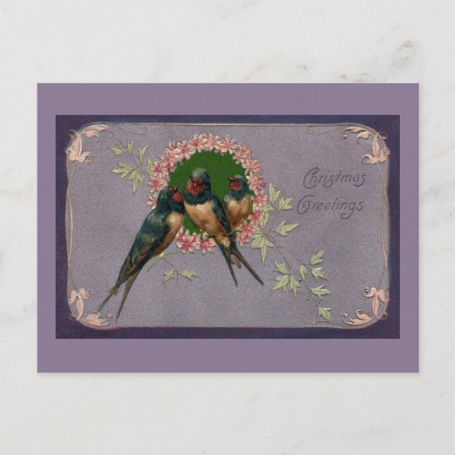 Vintage Christmas Swallows Holiday Postcard (Front)