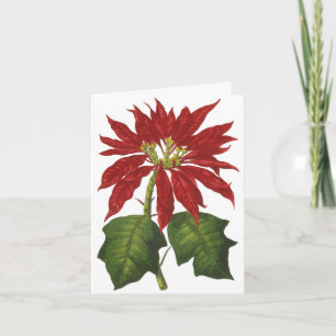 Vintage Christmas Thank You Card