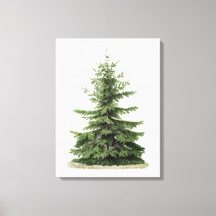 Vintage Christmas Tree Canvas Print