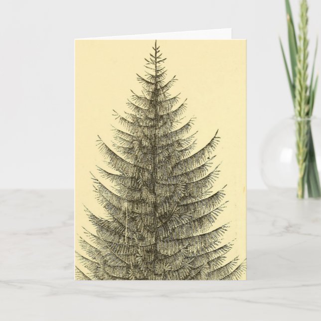 Vintage Christmas Tree Card (Front)