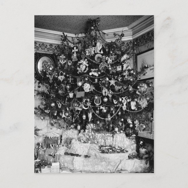 Vintage Christmas Tree Photograph (1910) Holiday Postcard (Front)