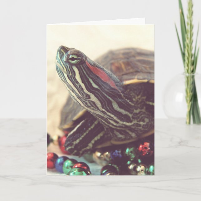 Vintage Christmas Turtle Holiday Card (Front)