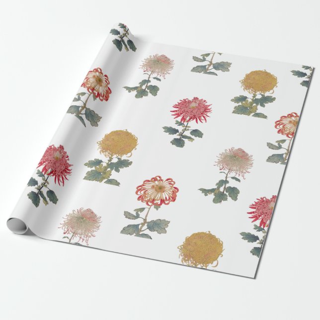 Vintage chrysanthemum Osegawa wrapping paper (Unrolled)