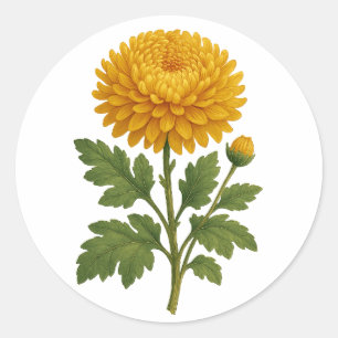 Vintage Chrysanthemum sticker - round