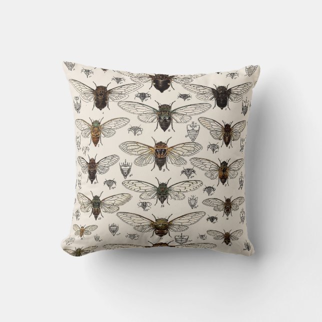 Vintage Cicadas Illustration Cushion (Front)