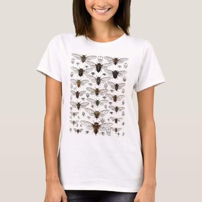 Vintage Cicadas Illustration T-Shirt (Front)