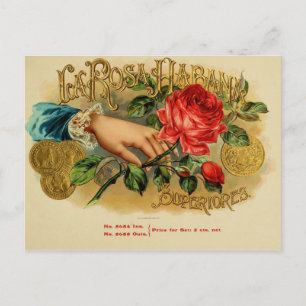Vintage Cigar Box Label Postcard