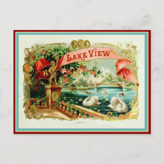 Vintage Cigar Box Label Postcard
