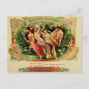 Vintage Cigar Box Label Postcard