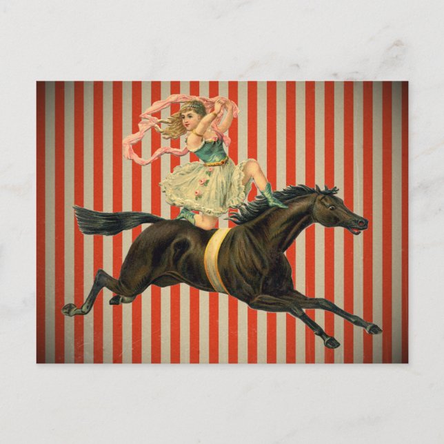vintage circus acrobat riding a horse postcard (Front)