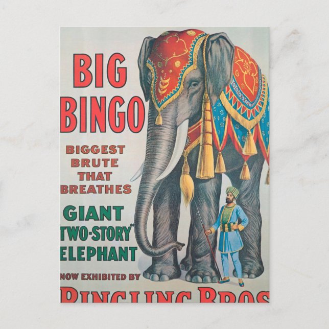 Vintage : circus Barnum & Bailey - Postcard (Front)