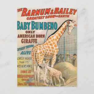 Vintage : circus Barnum & Bailey - Postcard
