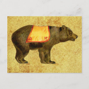 vintage circus bear postcard
