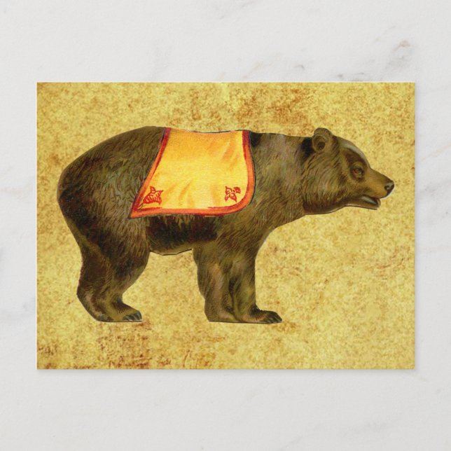 vintage circus bear postcard (Front)