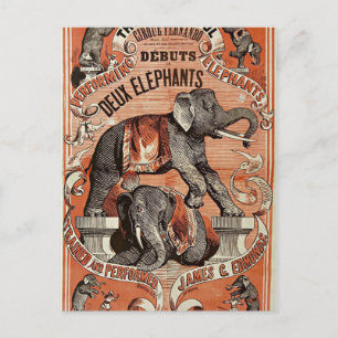 vintage circus elephant show postcard