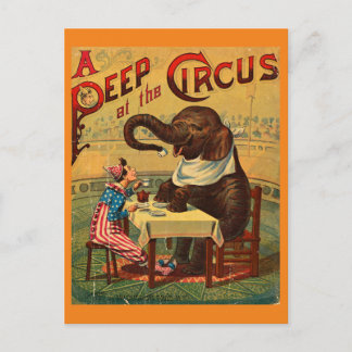Vintage Circus Illustration Art Old Antique Postcard
