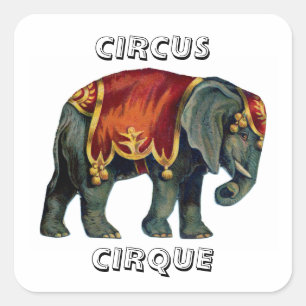 Vintage circus performing elephant circus , poste square sticker