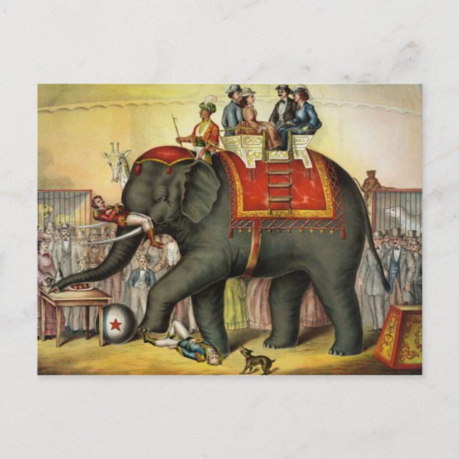 Vintage Circus Postcard (Front)