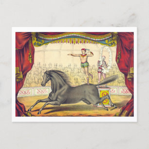 Vintage Circus Poster for Horse Act Postcard