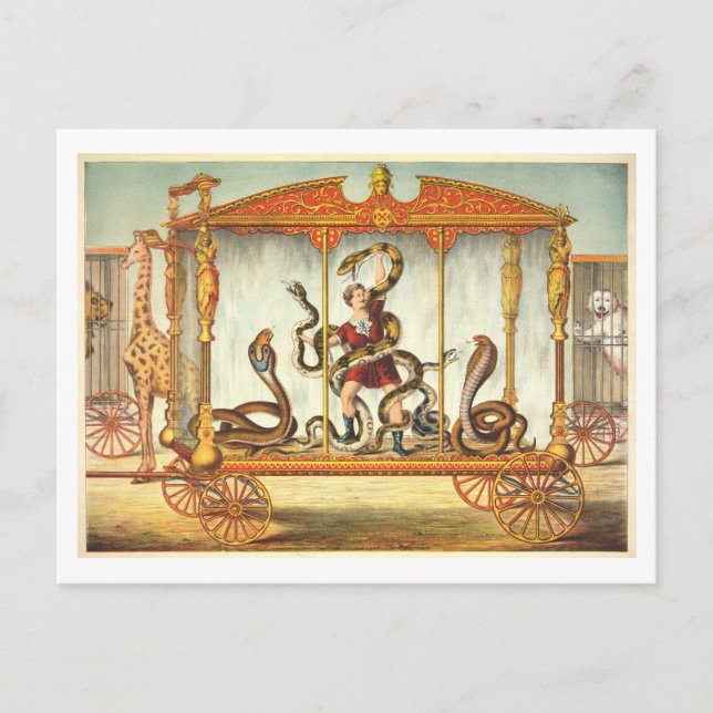 Vintage Circus Poster for Snake Charmer Postcard (Front)