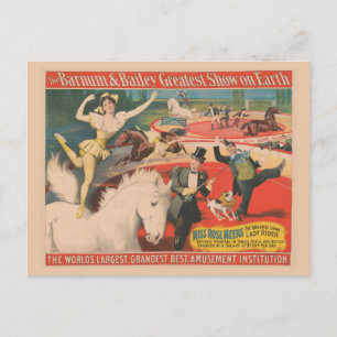 Vintage Circus Poster Of Miss Rose Meers Postcard