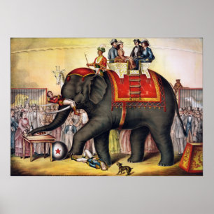 Vintage Circus Poster - Performing elephant