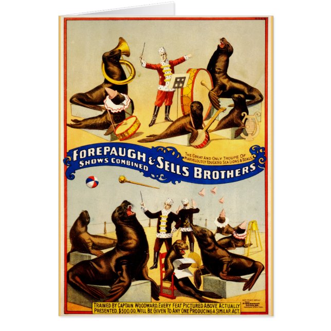 Vintage Circus - Sea Lions and Seals (Front)