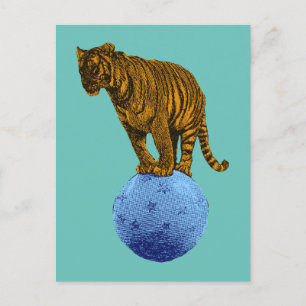 Vintage Circus Tiger Postcard