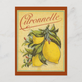 Vintage Citronnelle Ad Postcard