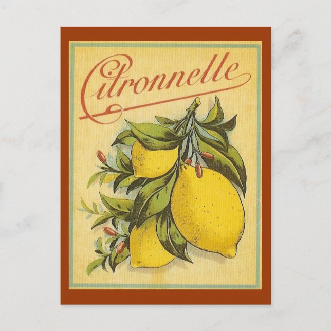 Vintage Citronnelle Ad Postcard (Front)