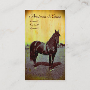 Vintage Civil War Union Horse Business Cards